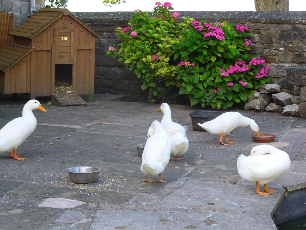 Tithe Barn Bed And Breakfast Carnforth Exterior foto
